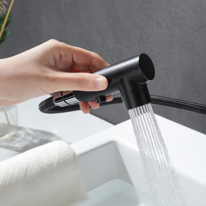 HMR - Ruth Industrial 1-Hole Brass Pull Out Bathroom Sink Faucet in Matte Black