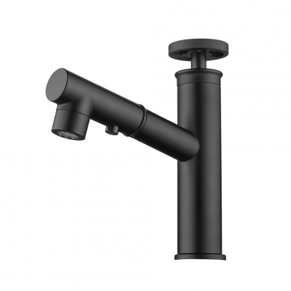 HMR - Ruth Industrial 1-Hole Brass Pull Out Bathroom Sink Faucet in Matte Black