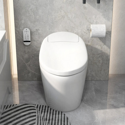 HMR - Modern Smart One-Piece Toilet and Bidet Foot Induction and Automatic Flushing in White