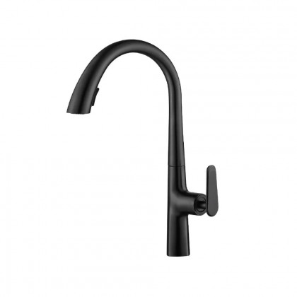 HMR - Dual Function Pull-Out Kitchen Faucet Single Hole Single Handle in Black