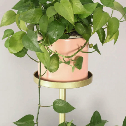 HMR - Metal Gold Plant Pot for Indoor in Large in 4-Shelf