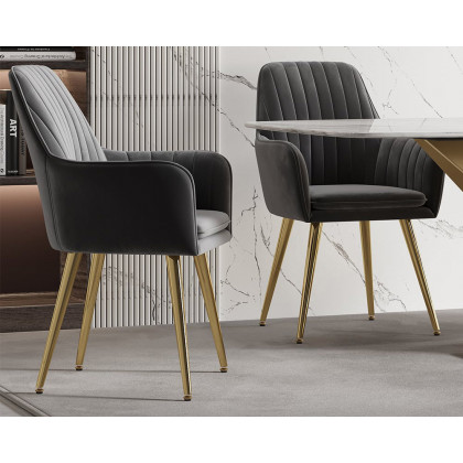 HMR Modern Dining Chairs with Velvet Upholstery (Set of 2) - Gray