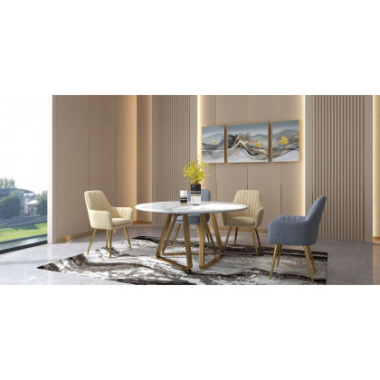 HMR Modern Dining Chairs with Velvet Upholstery (Set of 2) - Gray