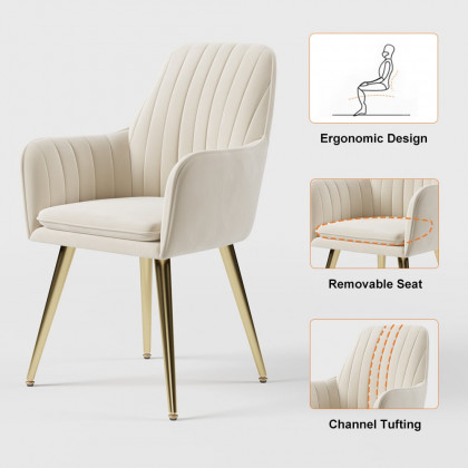 HMR - Modern Dining Chairs with Velvet Upholstery (Set of 2)