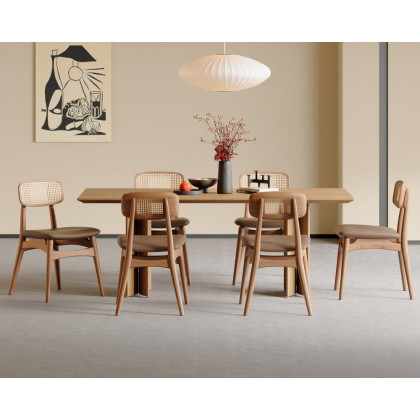 HMR - Modern Rattan Dining Chair with High Back (Set of 2) in Walnut