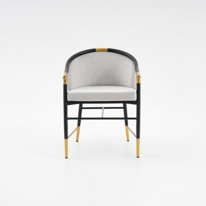 HMR Craines Series Modern Dining Chairs with Velvet Upholstery - Gray, Set of 2