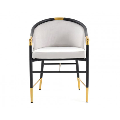 HMR Craines Series Modern Dining Chairs with Velvet Upholstery - Gray, Set of 2