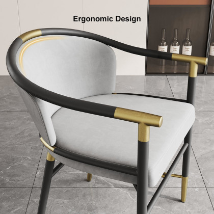 HMR Craines Series Modern Dining Chairs with Velvet Upholstery - Gray, Set of 2