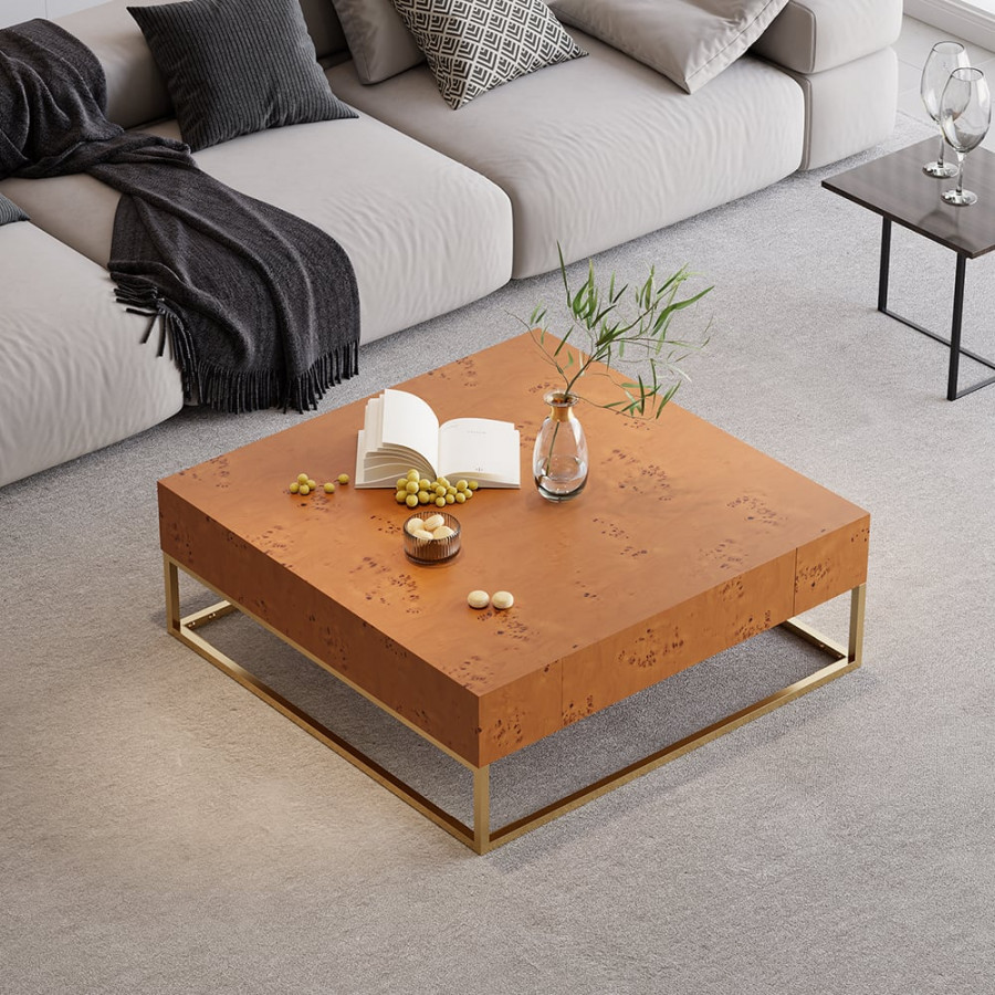 HMR - Modern 39.4" Wooden Burl Coffee Table Square with 2 Drawers in Gold Frame