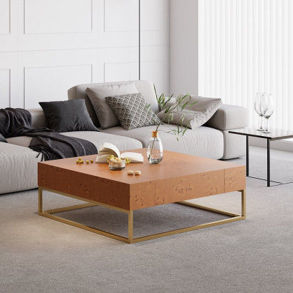 HMR - Modern 39.4" Wooden Burl Coffee Table Square with 2 Drawers in Gold Frame