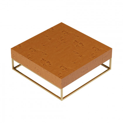 HMR - Modern 39.4" Wooden Burl Coffee Table Square with 2 Drawers in Gold Frame
