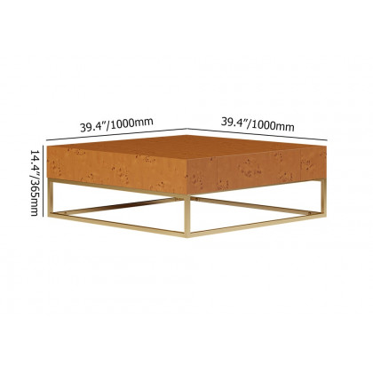 HMR - Modern 39.4" Wooden Burl Coffee Table Square with 2 Drawers in Gold Frame
