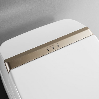 HMR - Set of 2 Elongated Smart Toilet Floor Mounted Automatic Toilet Self-Clean