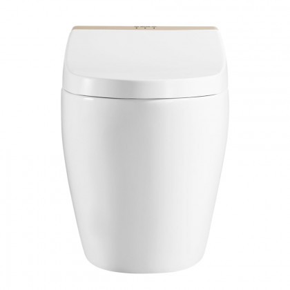 HMR - Set of 2 Elongated Smart Toilet Floor Mounted Automatic Toilet Self-Clean