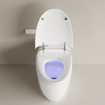 HMR - Automatic Egg-Shaped Smart Bidet Toilet with Multi-Function 1.32 GPF