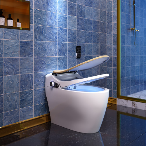 HMR Set of Two Automatic Smart Bidet Toilet with Deodorizing Function 1.28 GPF - Gold