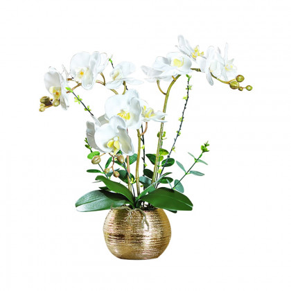 HMR - Artificial Flower Realistic White Orchids in Vase Set Gold Brushed Ceramic Flower Pots