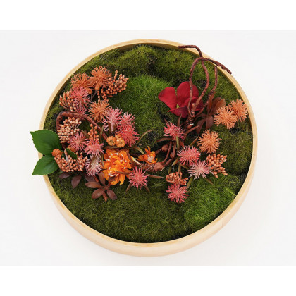 HMR 3D Round Preserved Moss Flower Wall Art Hanging Rainbow Floral Decor with Wood Frame – Multi-Color, Style B
