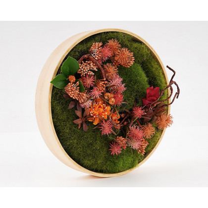 HMR 3D Round Preserved Moss Flower Wall Art Hanging Rainbow Floral Decor with Wood Frame – Multi-Color, Style B
