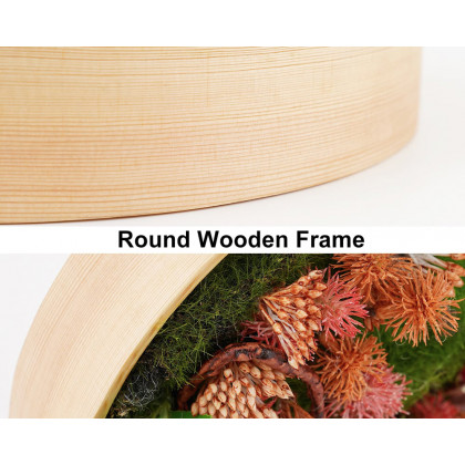 HMR 3D Round Preserved Moss Flower Wall Art Hanging Rainbow Floral Decor with Wood Frame – Multi-Color, Style B