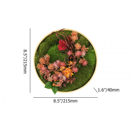 HMR 3D Round Preserved Moss Flower Wall Art Hanging Rainbow Floral Decor with Wood Frame – Multi-Color, Style B