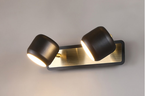 Homary™ LED Adjustable Gold Bath Vanity Light 2-Light Indoor - Black