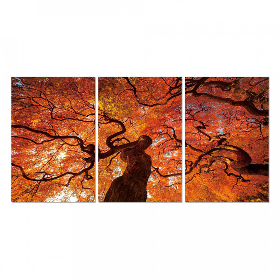 J&M - Wall Art Oak in Multicolor