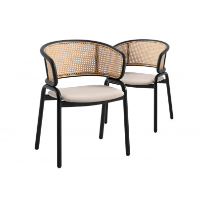 LeisureMod - Ervilla Modern Dining Chair With Stainless Steel Legs Velvet Seat And Wicker Back (Set Of 2)