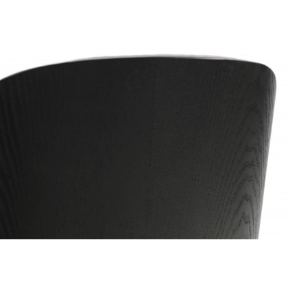 LeisureMod Tule Mid-Century Modern Dining Side Chair with Powder-Coated Steel Frame - Black/Charcoal