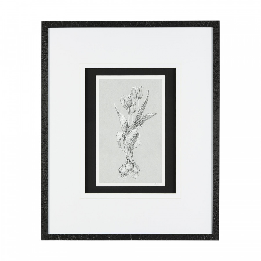 Mercana Botanical Sketches I - Gray/Black, Medium