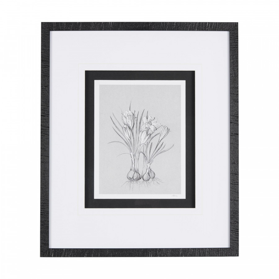 Mercana Botanical Sketches V - Gray/Black, Medium