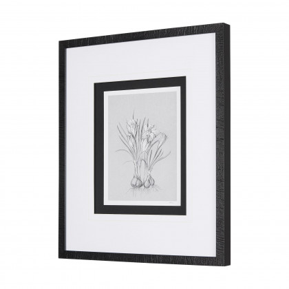 Mercana Botanical Sketches V - Gray/Black, Medium
