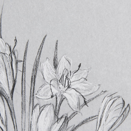 Mercana Botanical Sketches V - Gray/Black, Medium