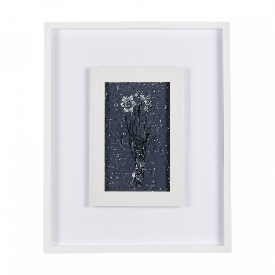 Mercana Botanical Sketches II - Blue/White, Medium