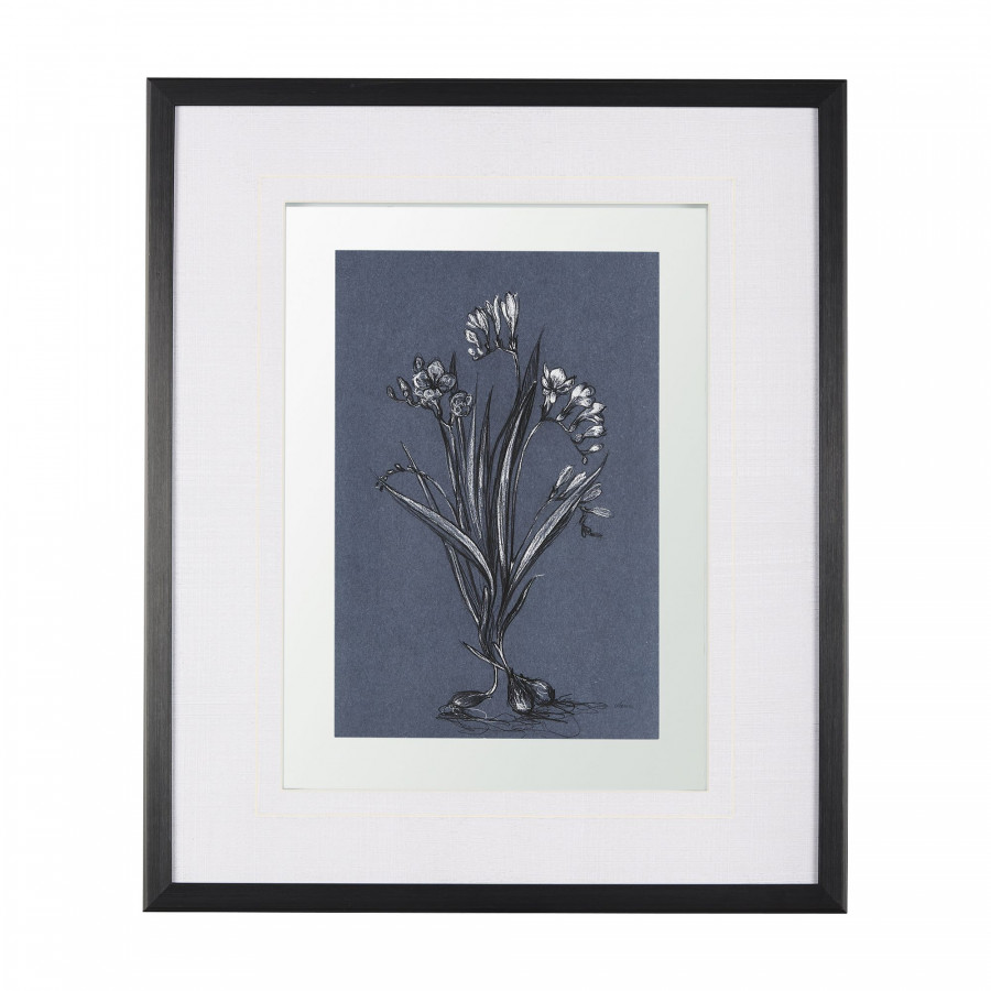 Mercana Botanical Sketches III - Blue, Medium