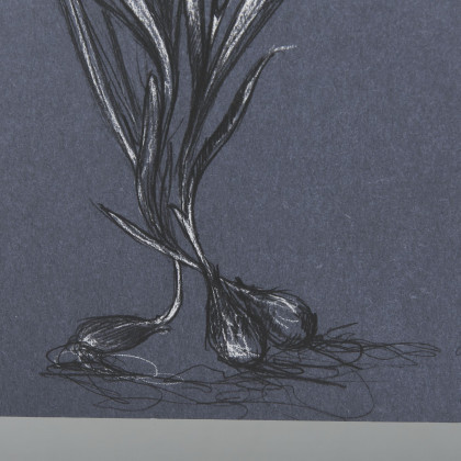 Mercana Botanical Sketches III - Blue, Medium
