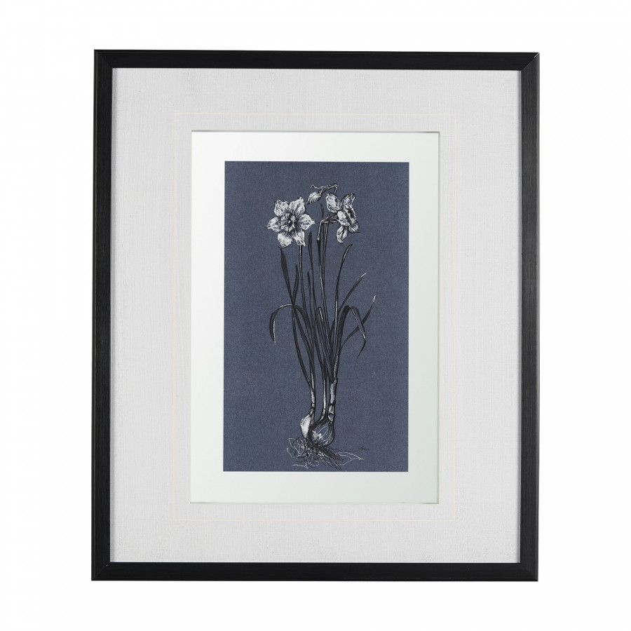 Mercana Botanical Sketches II - Blue, Medium