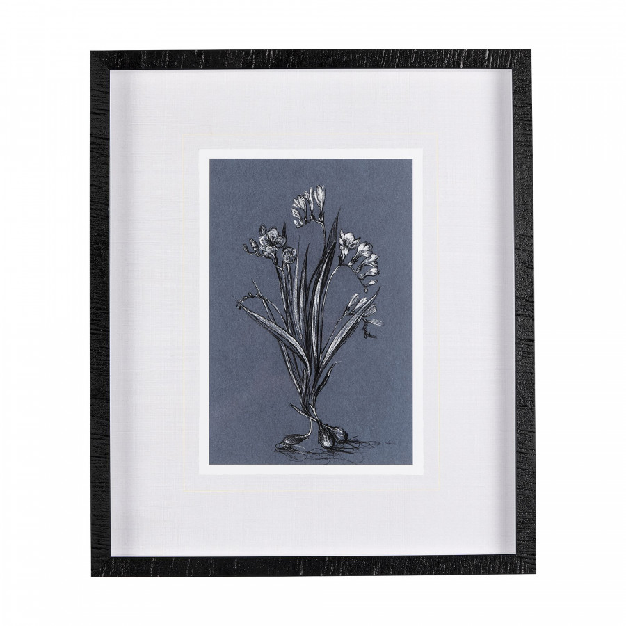 Mercana Botanical Sketches III - Blue/Black, Medium