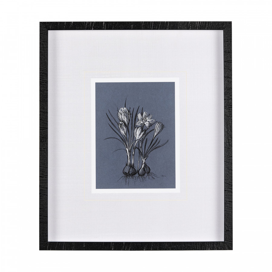 Mercana Botanical Sketches V - Blue/Black, Medium