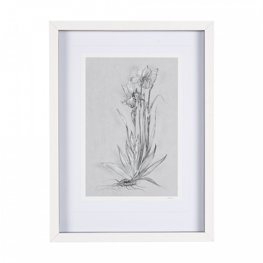 Mercana Botanical Sketches IV - Gray, Small