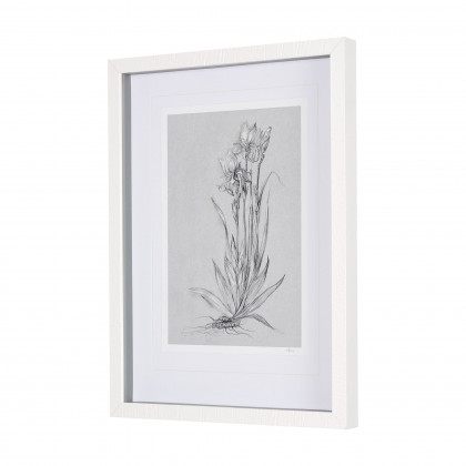Mercana Botanical Sketches IV - Gray, Small