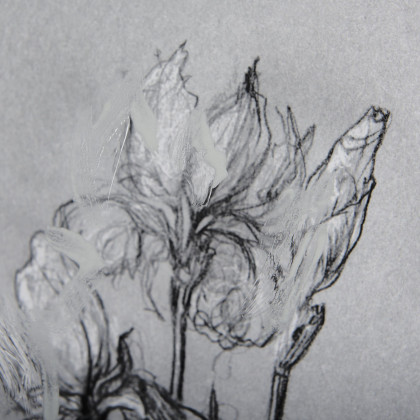 Mercana Botanical Sketches IV - Gray, Small