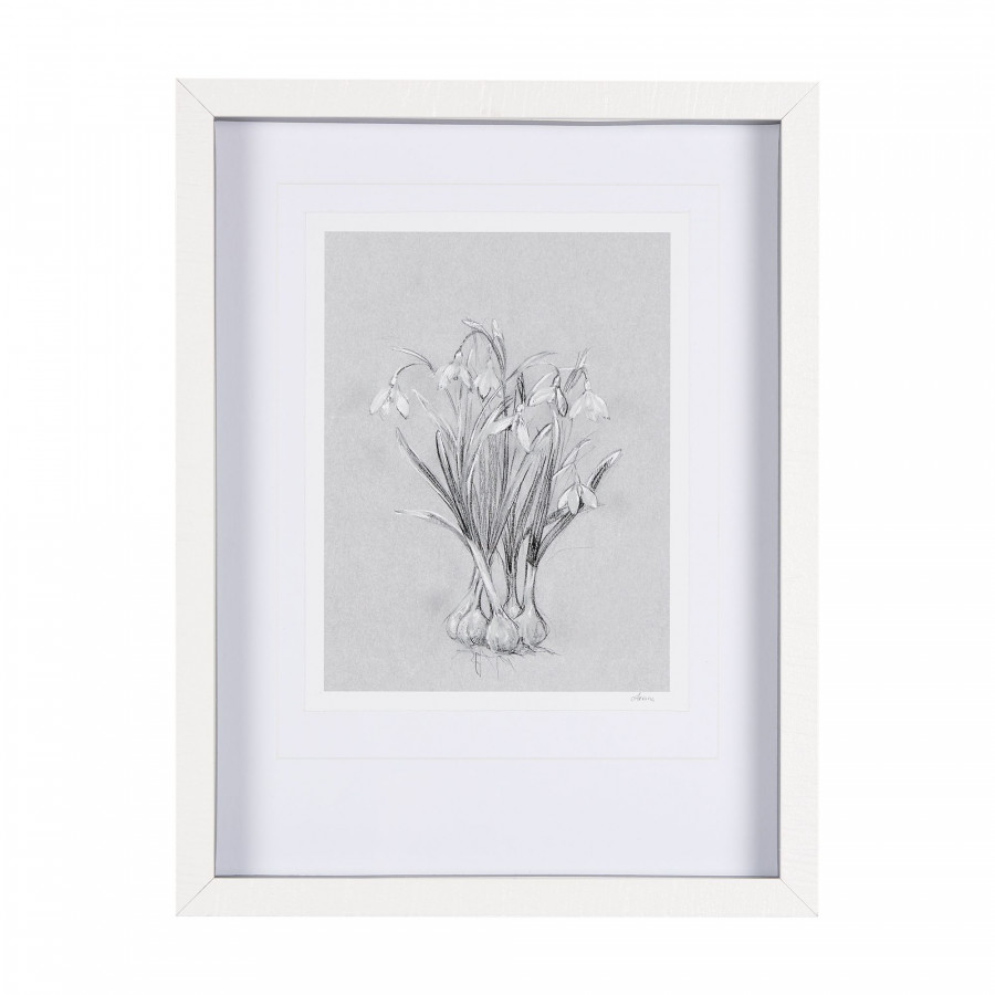 Mercana Botanical Sketches VI - Gray, Small