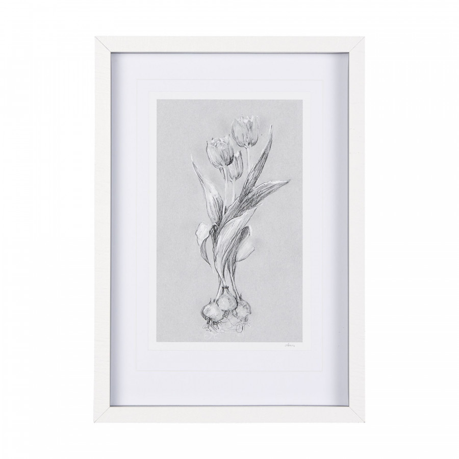 Mercana Botanical Sketches I - Gray, Small