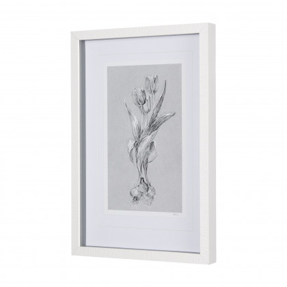 Mercana Botanical Sketches I - Gray, Small