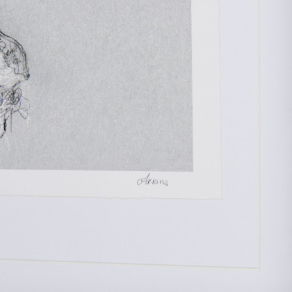 Mercana Botanical Sketches I - Gray, Small