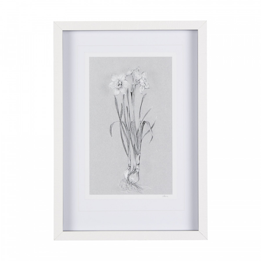 Mercana Botanical Sketches II - Gray, Small