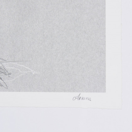 Mercana Botanical Sketches II - Gray, Small