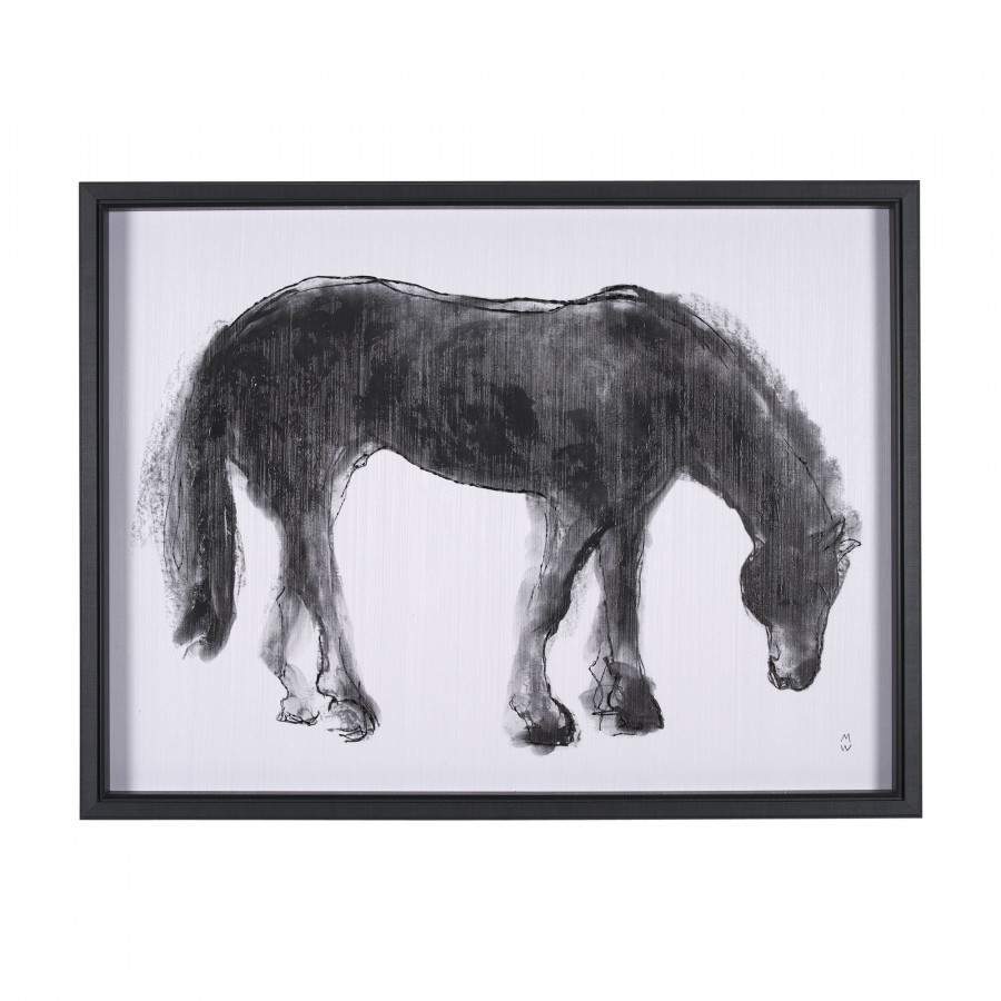 Mercana - Equine Sketch