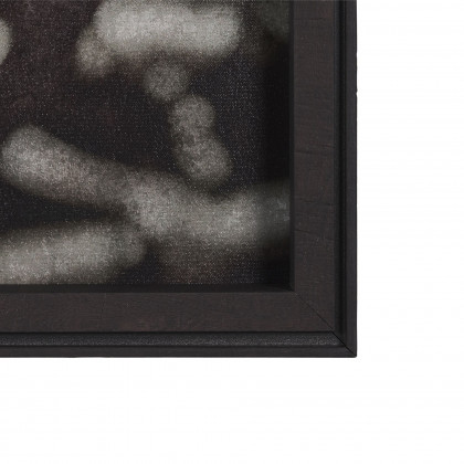 Mercana Industrial Collect - Motion
